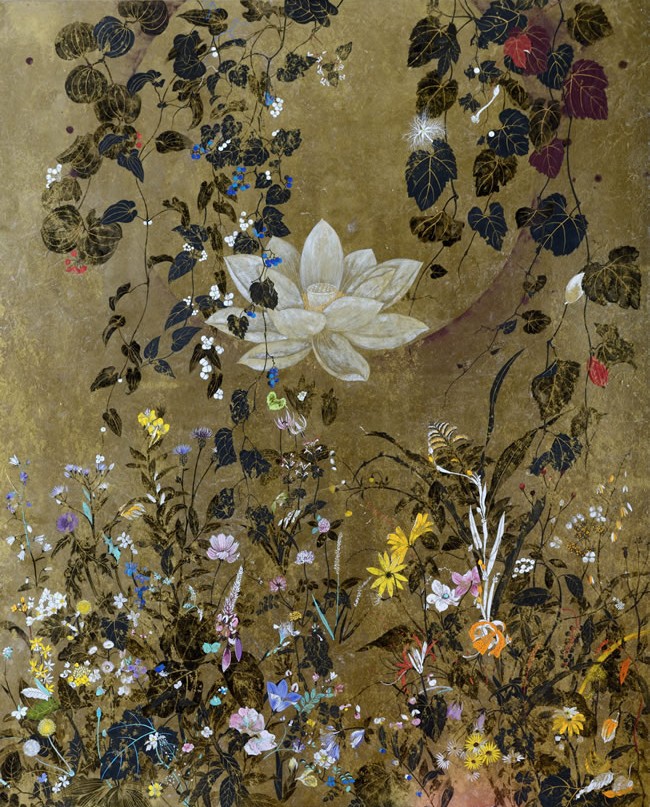 88 Species of Resilient and Spirited Wildflowers