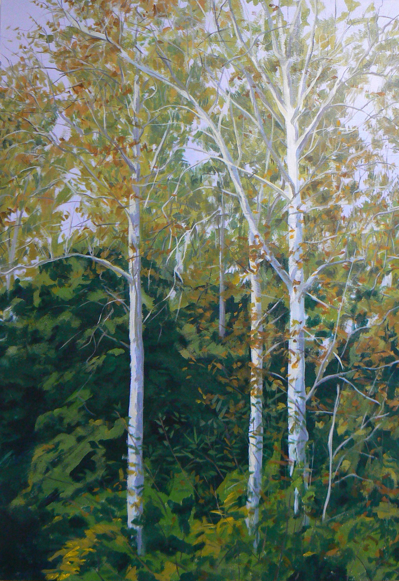 White Trees