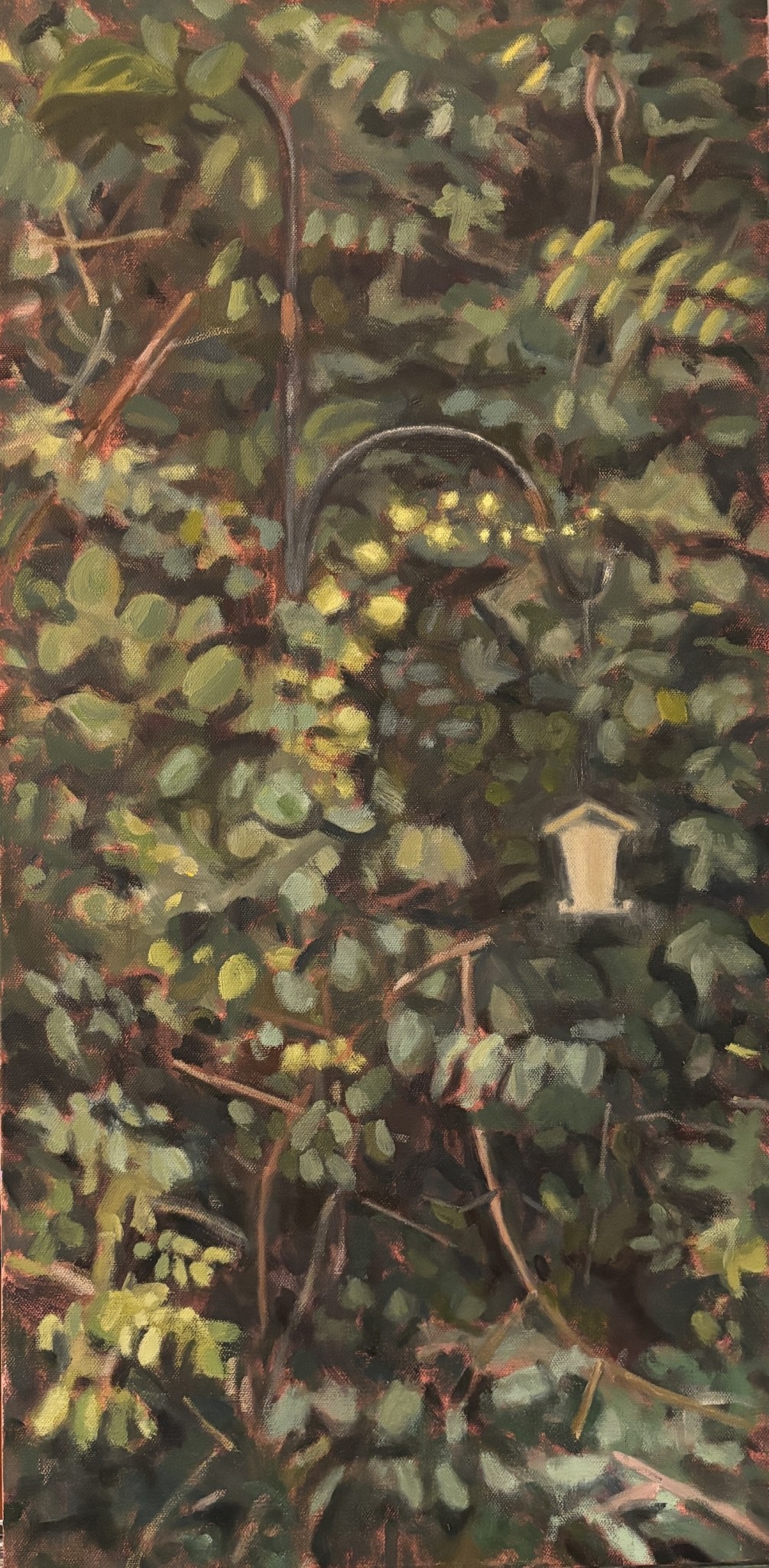 birdhouse in the overgrowth