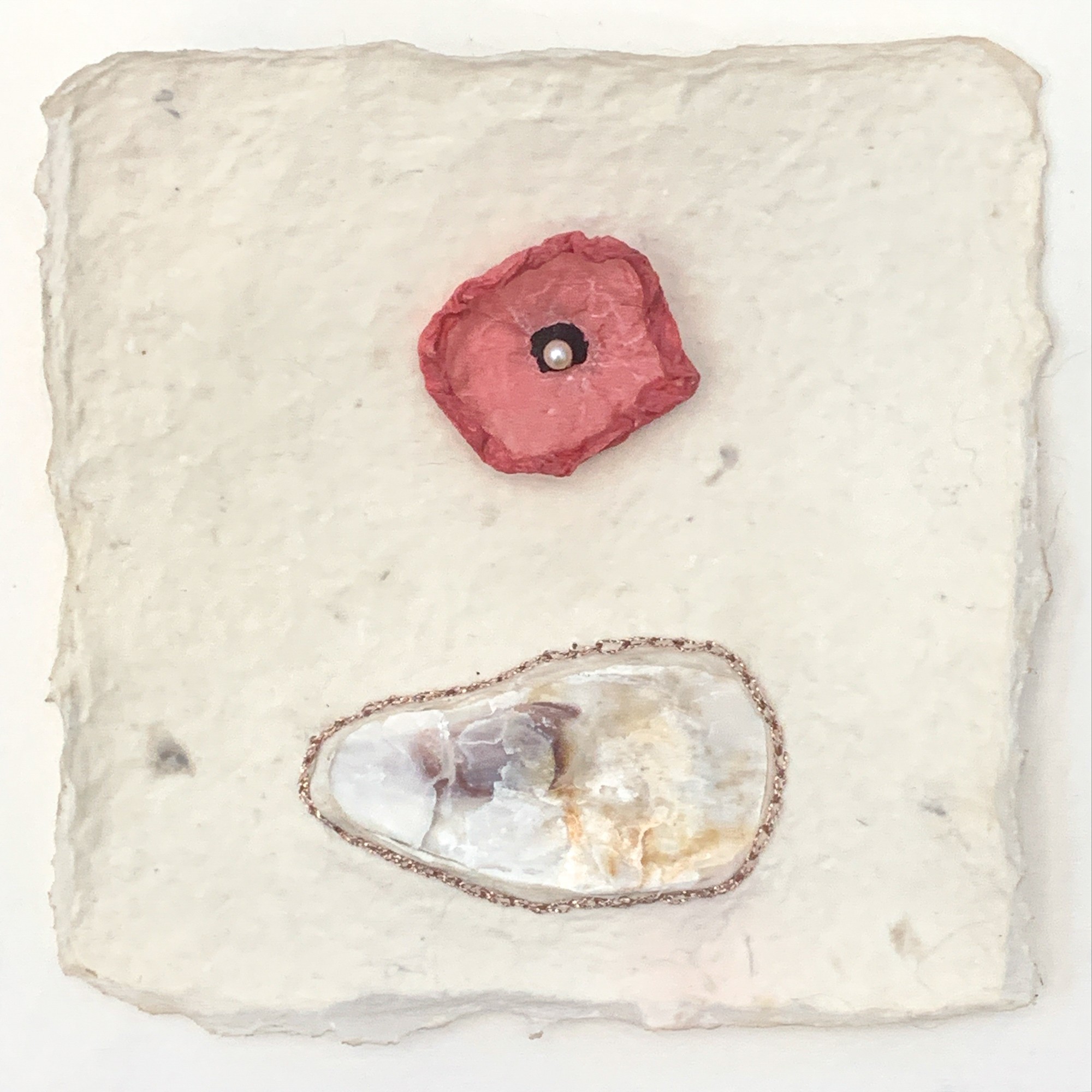 Return of the Oysters…1