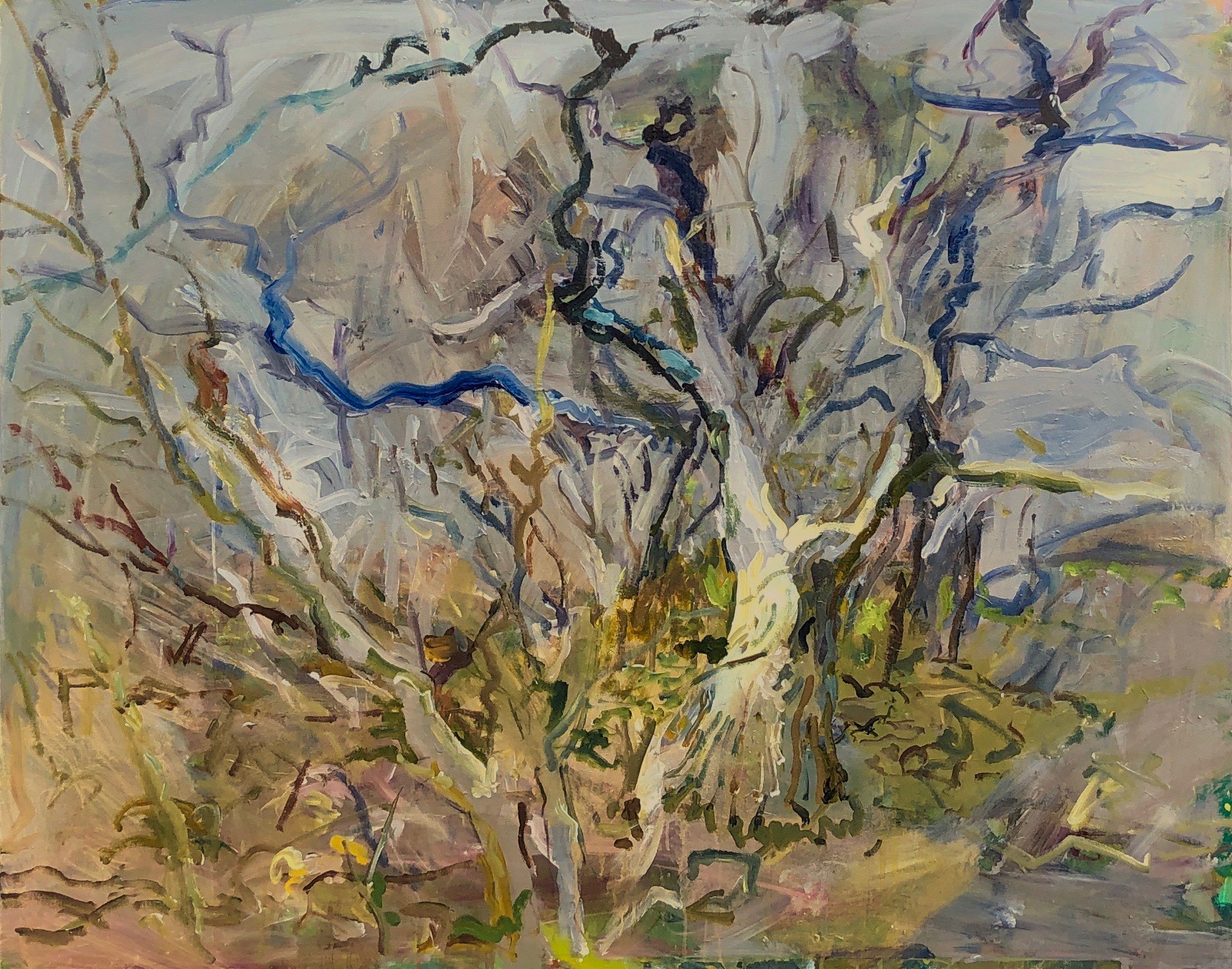 Tree - Early Spring