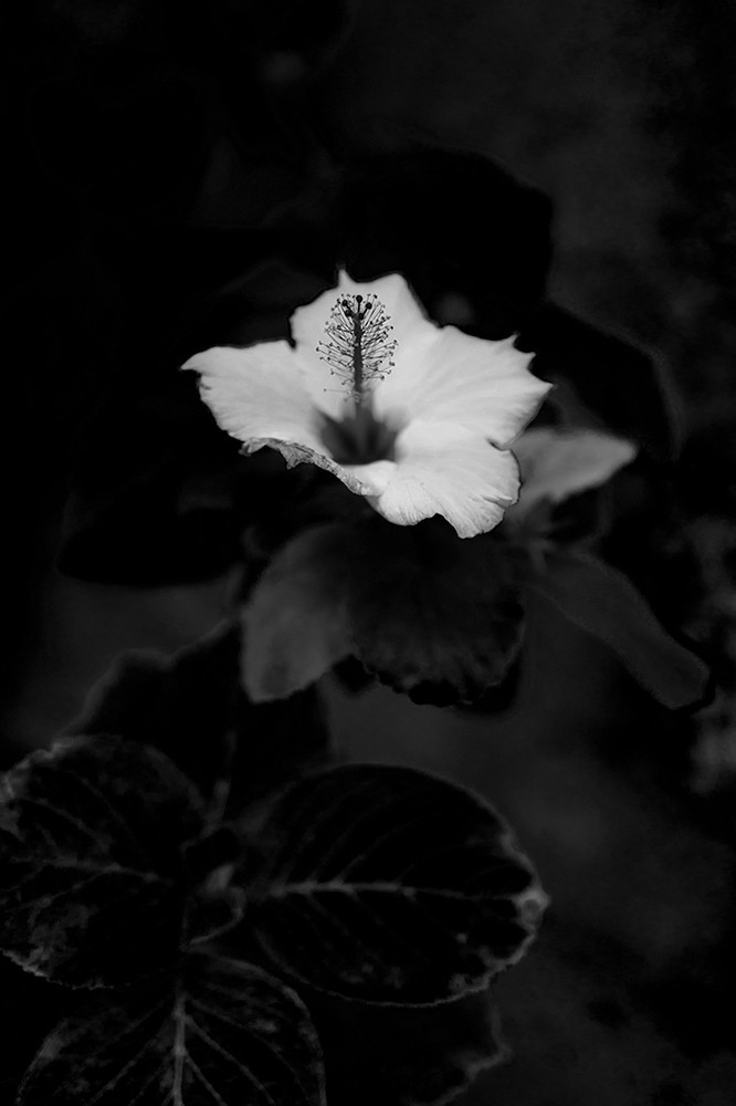 Untitled Dreams - Breathe silently