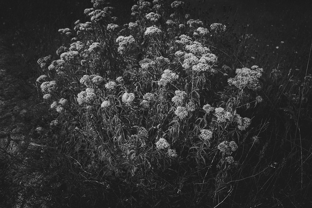 Untitled Dreams - Endless life