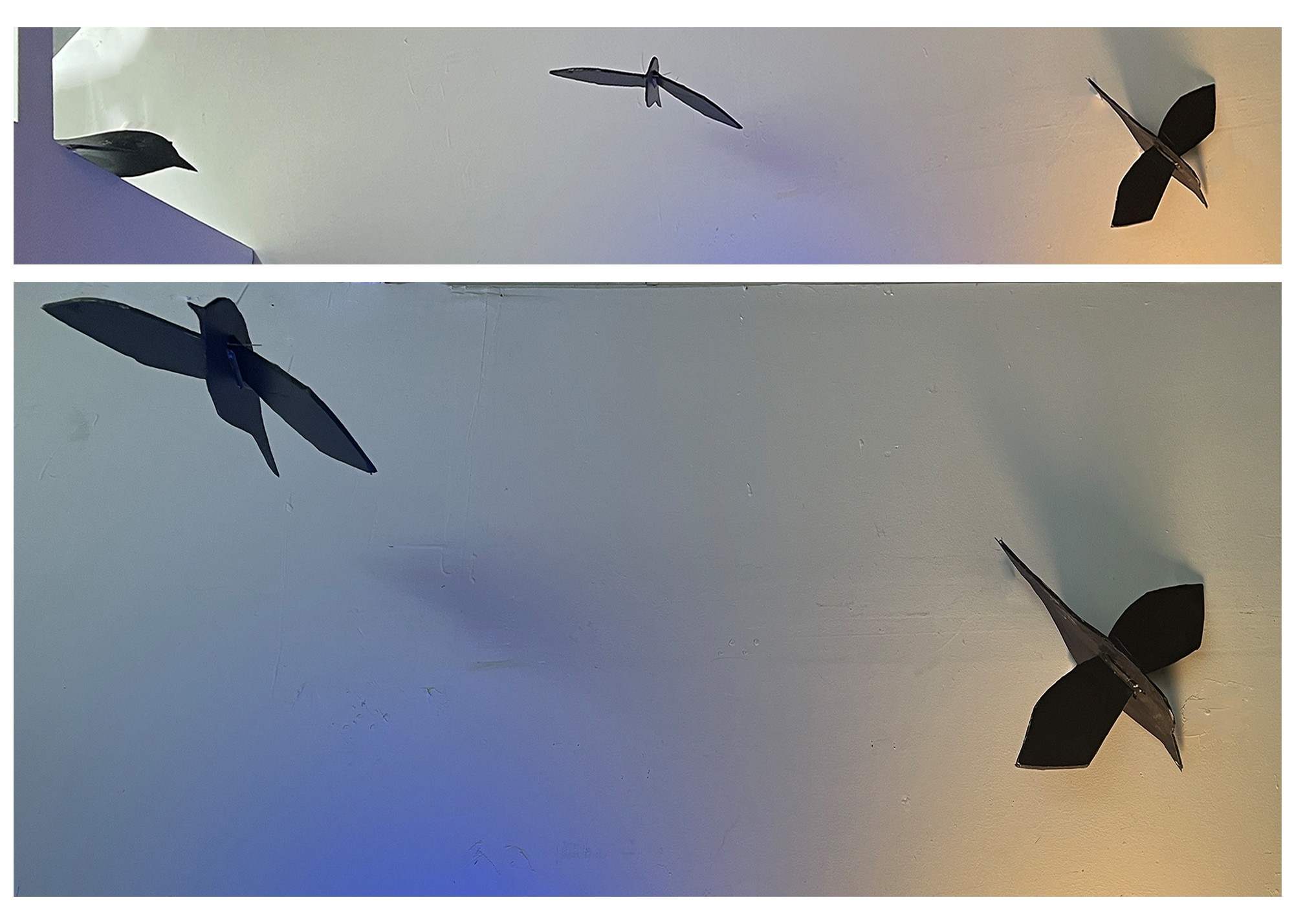 Crow Installation 