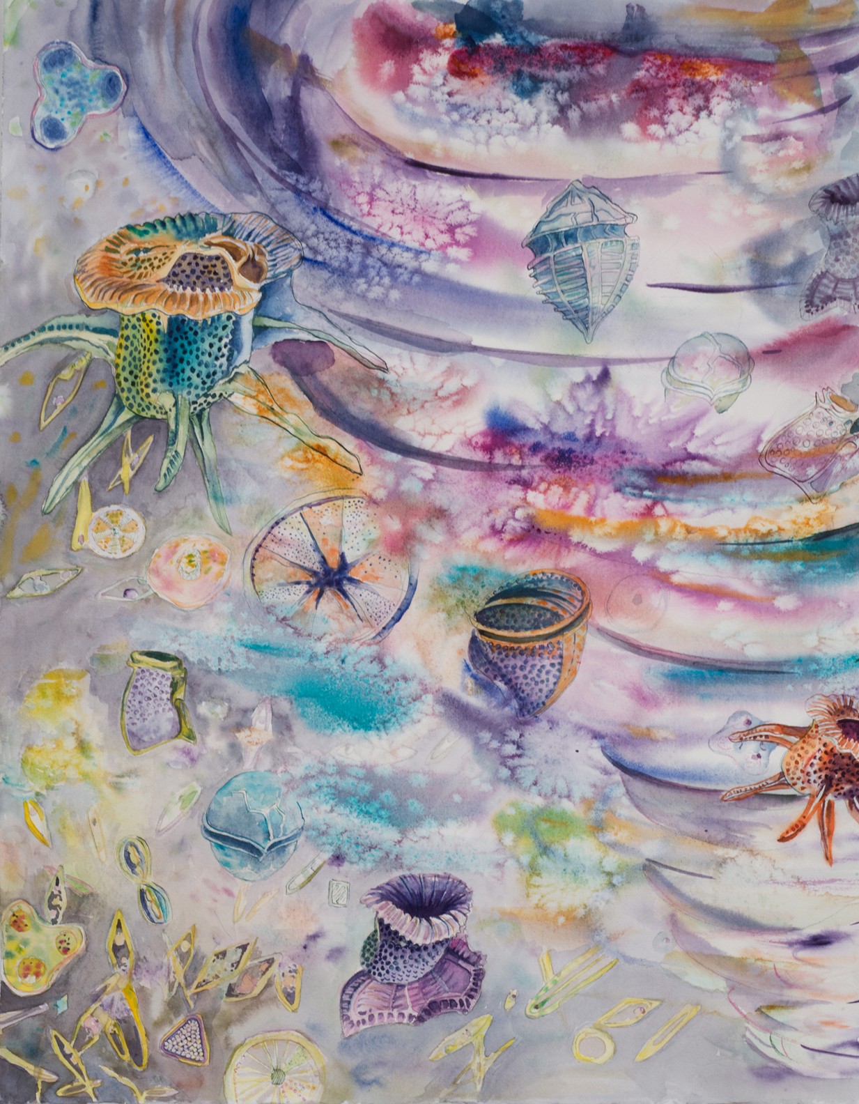 Diatom Tornado